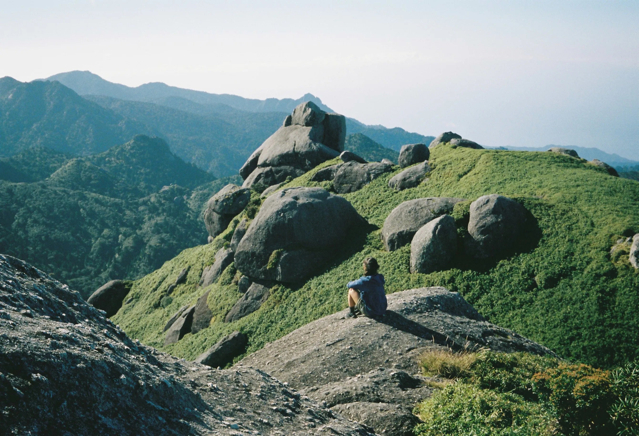 New Brand in Store: and Wander